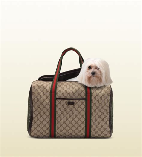 gucci pug bag|Designer Dog Carrier .